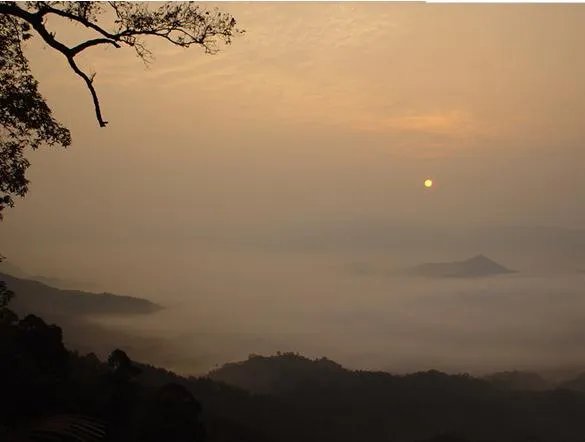 福建7地入选“中国森林氧吧”,分别是哪7个?