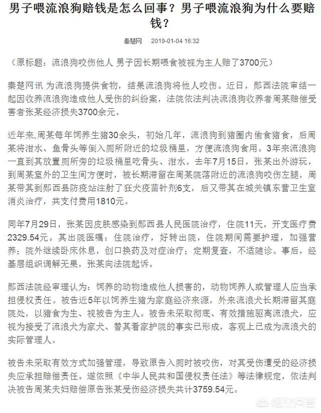 男子喂流浪狗却赔钱，这是怎么回事？