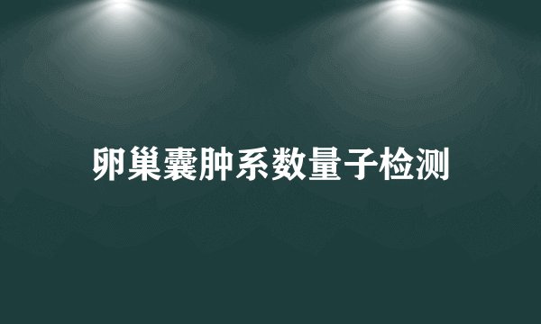 卵巢囊肿系数量子检测