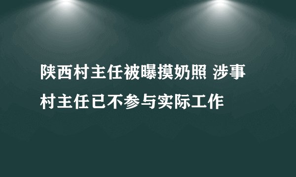 陕西村主任被曝摸奶照 涉事村主任已不参与实际工作