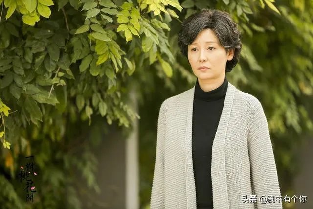 电视剧《一树桃花开》,相比盛开,为啥狄英最后能治服罗耀辉母?