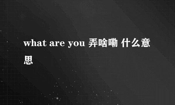 what are you 弄啥嘞 什么意思