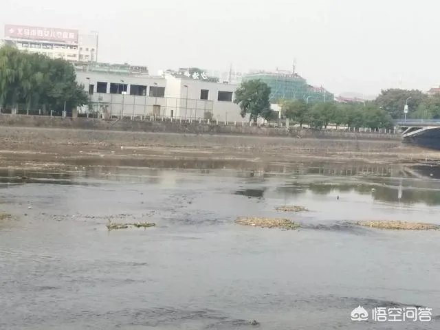 上海打算申办2032年奥运会，对此你怎么看？