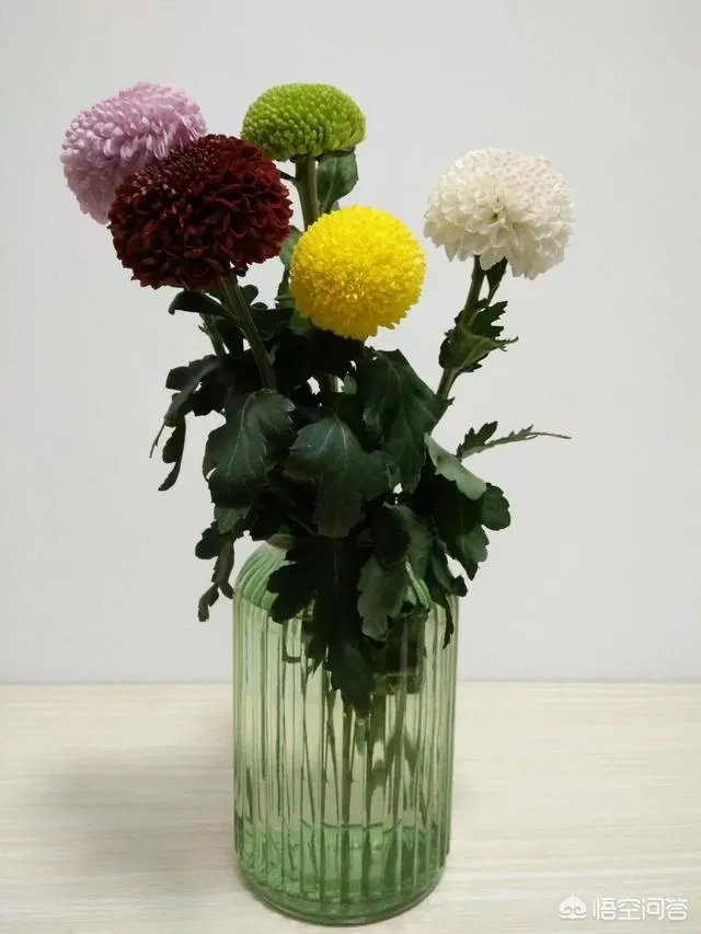 云南有哪些大的鲜花市场?