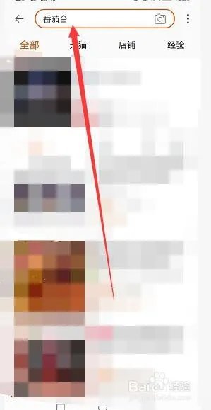 极限挑战薇娅直播怎么看回放？