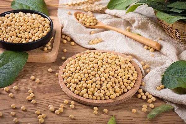 阑尾炎不能吃什么食物