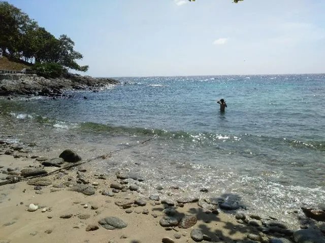 泰国皇帝岛大不大？一天怎么玩？