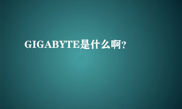 GIGABYTE是什么啊？