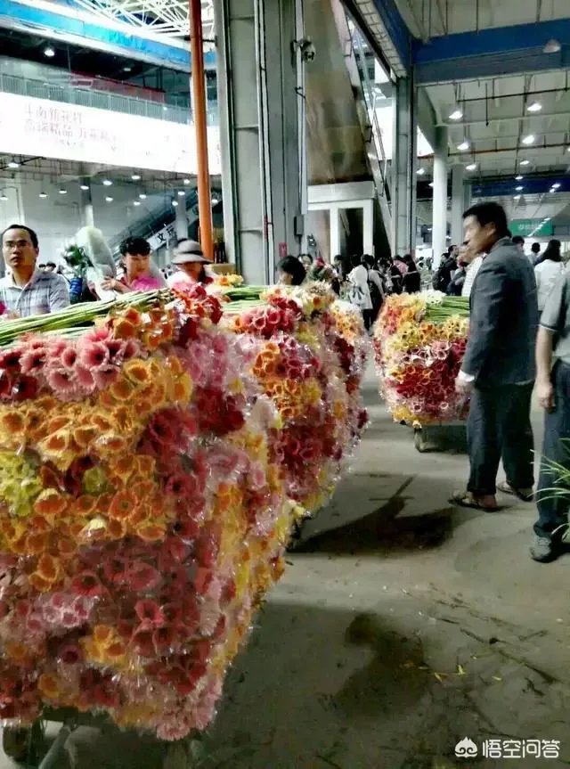 云南有哪些大的鲜花市场?