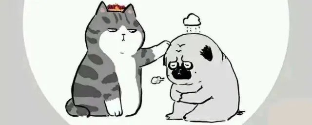 什么头什么气 分别是什么意思