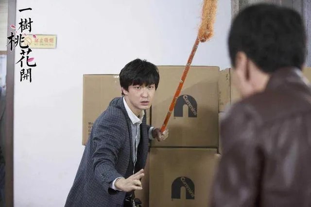 电视剧《一树桃花开》,相比盛开,为啥狄英最后能治服罗耀辉母?