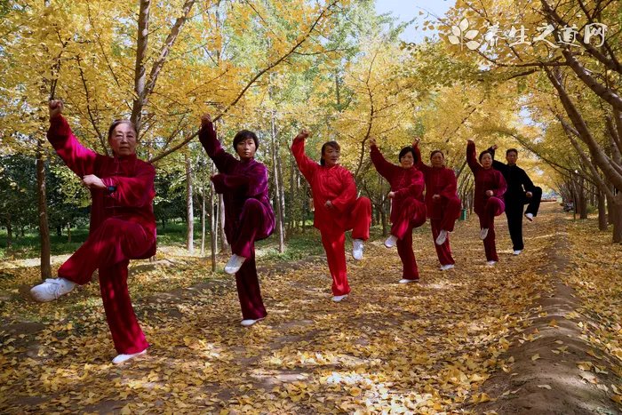 蟑螂怎么消灭？教你3个灭蟑螂最有效的方法！