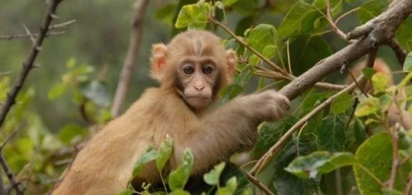 济源旅游景点大全排名，哪些值得去？