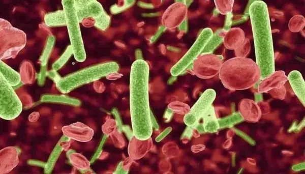 多国暴发巧克力相关沙门氏菌疫情，这种病毒是通过什么途径传播的？