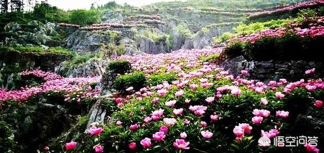 安徽芜湖房价还会涨吗？