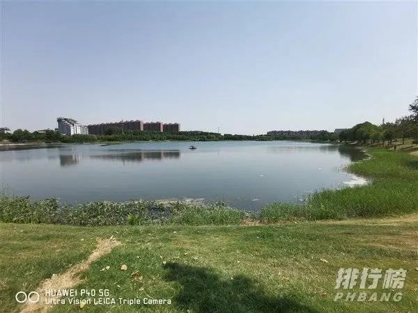 华为mate30和p40哪个拍照效果好_华为mate30和p40对比哪个好