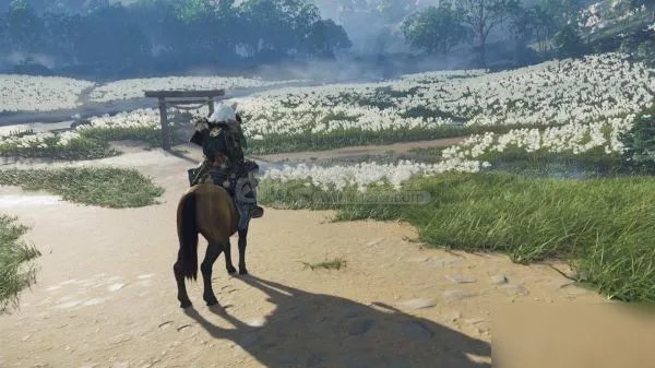 《对马岛之魂》毒针在什么地方采集 致幻针采集位置介绍