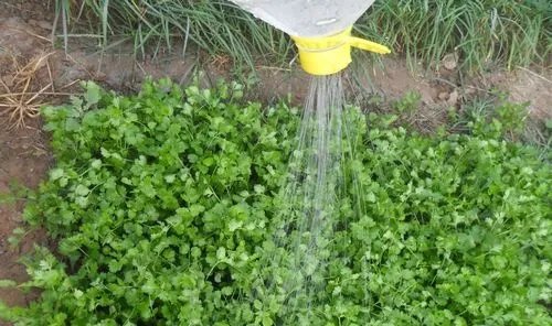 自制实用喷水壶