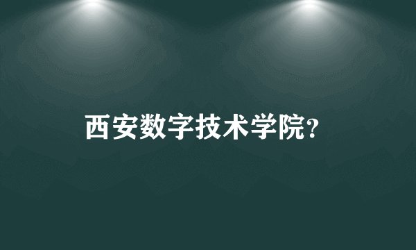 西安数字技术学院？