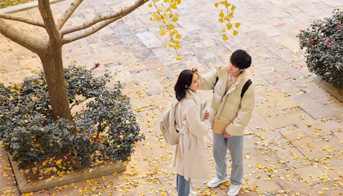 四象星座有哪些