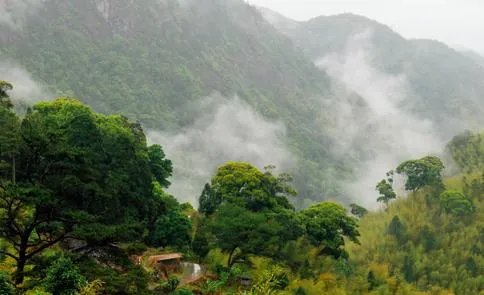 福建7地入选“中国森林氧吧”,分别是哪7个?