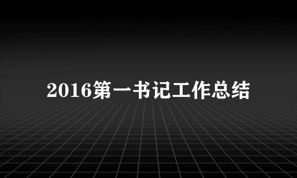 2016第一书记工作总结