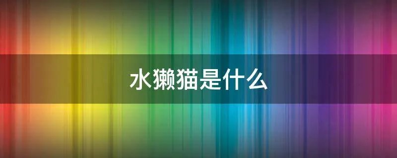 水獭猫是什么