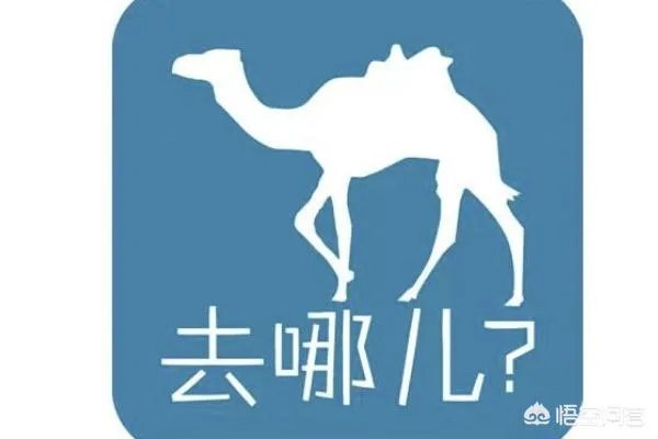 哪个旅行网站比较好？