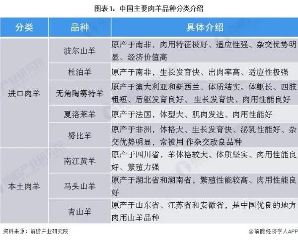 养羊有前景吗？