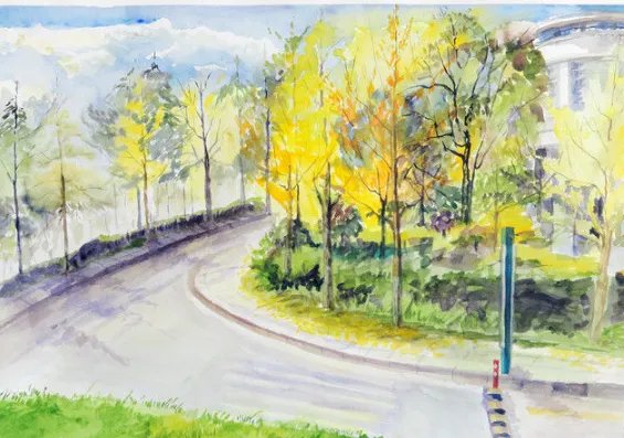 美术专业有哪些