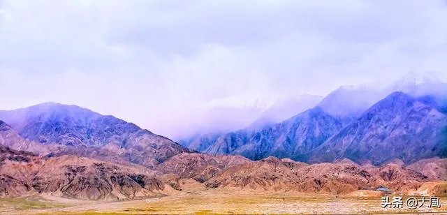 有哪些比较好看的纪录片?