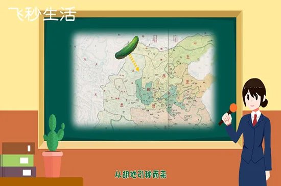 黄瓜为什么叫黄瓜