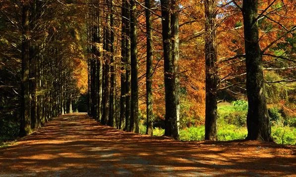 福建7地入选“中国森林氧吧”,分别是哪7个?