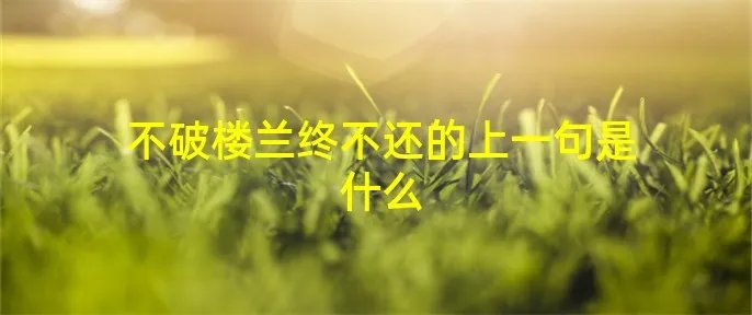 不破楼兰终不还的上一句是什么