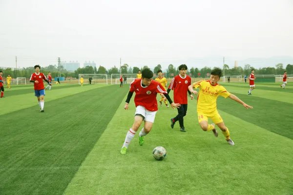 青少年足球赛现“断子绝孙”脚，如何看待不探望莫声张这种处理方式？