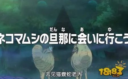 海贼王765集预告 去见猫蝮蛇大人