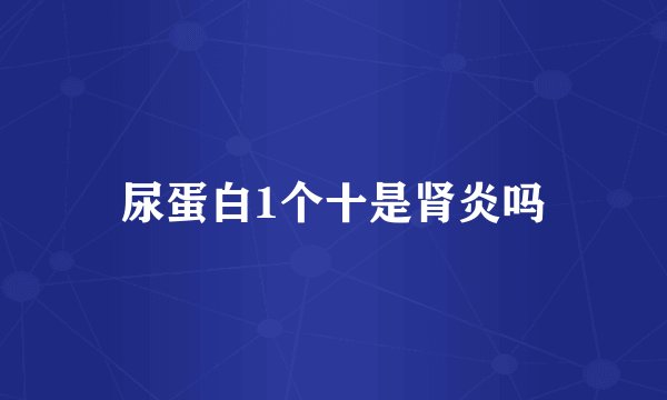 尿蛋白1个十是肾炎吗