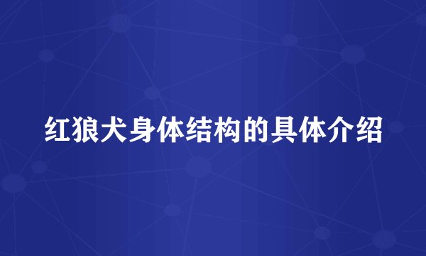 红狼犬身体结构的具体介绍