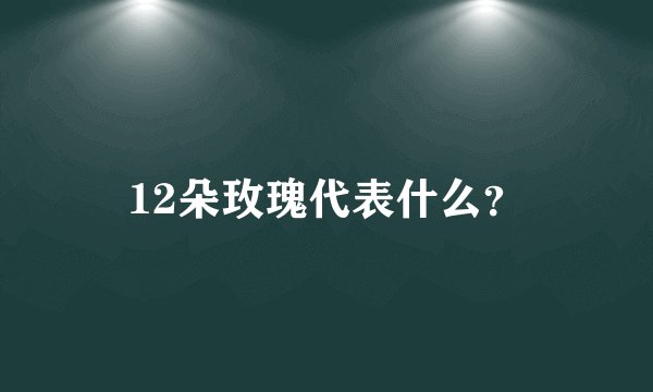 12朵玫瑰代表什么？
