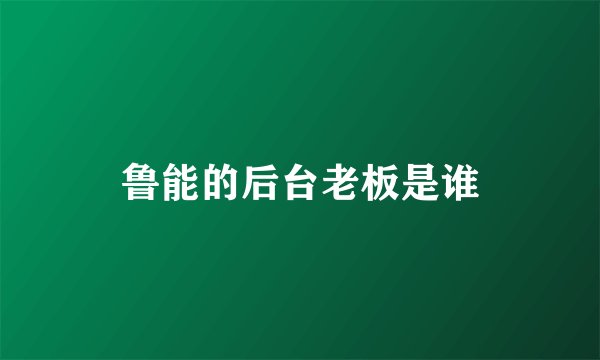 鲁能的后台老板是谁