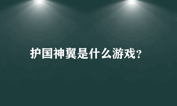 护国神翼是什么游戏？
