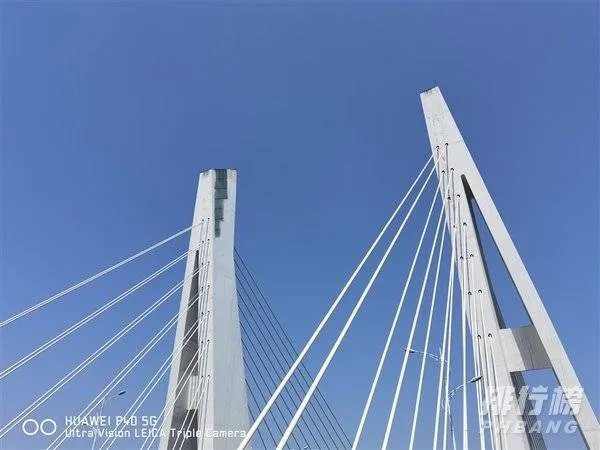 华为mate30和p40哪个拍照效果好_华为mate30和p40对比哪个好