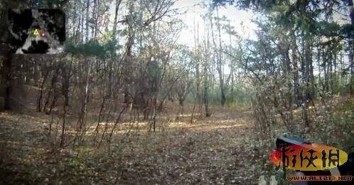 华人小胖Freddie：现实版使命召唤“面市”