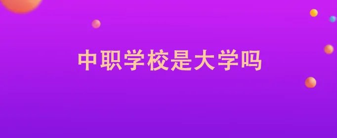 中职学校是大学吗