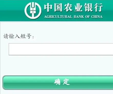 中国农业银行余额查询怎么查?