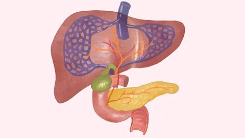肝癌晚期是什么症状