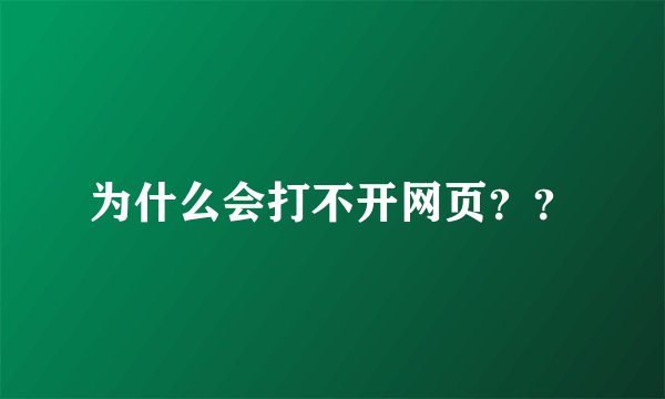 为什么会打不开网页？？