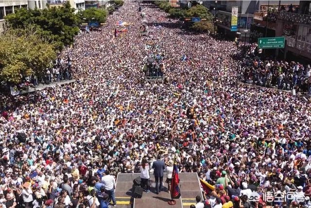 瓜伊多回国后会干什么？