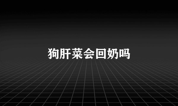 狗肝菜会回奶吗