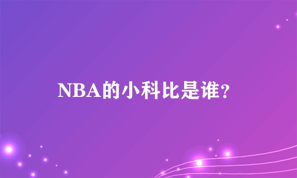 NBA的小科比是谁？